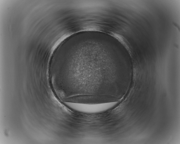 X0000099461331200805231757