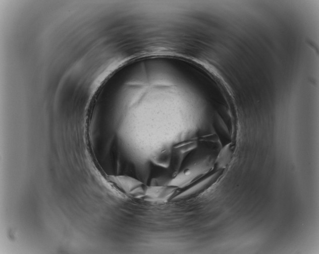 X0000099461333200805231757