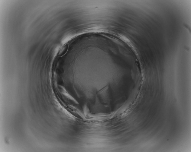 X0000099461334200805231757