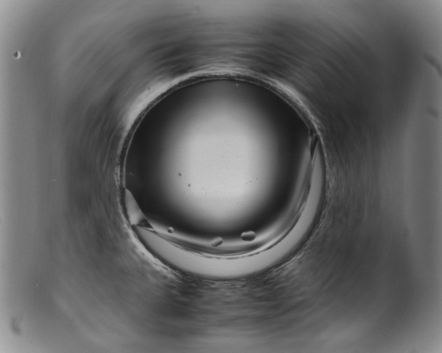 X0000099461335200805231757