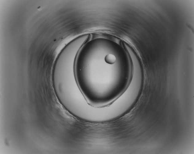 X0000099461336200805231757