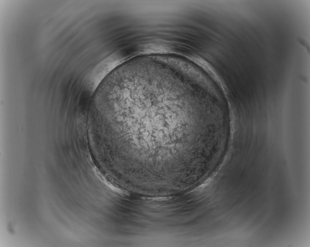 X0000099461337200805231757