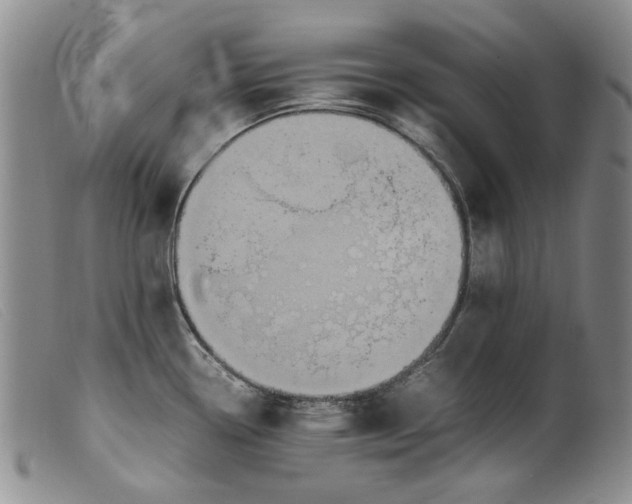 X0000099461338200805231757