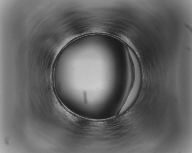 X0000099461339200805231757