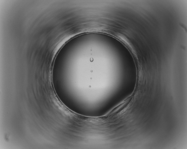 X0000099461340200805231757