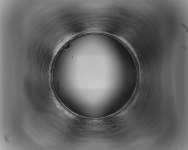 X0000099461341200805231757