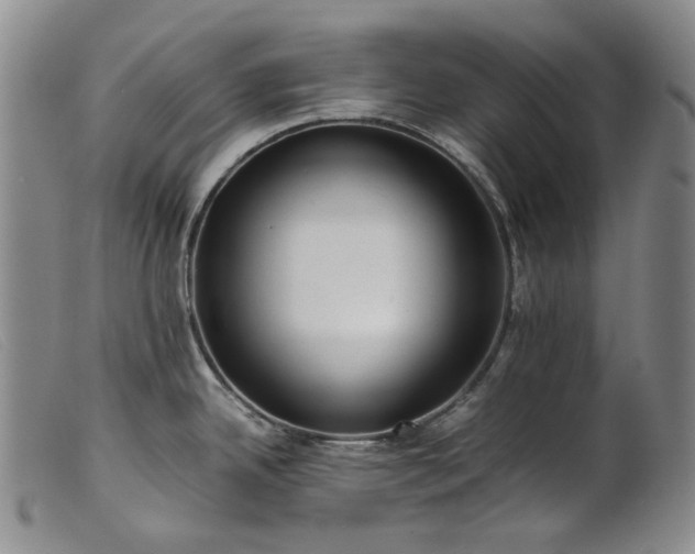 X0000099461342200805231757