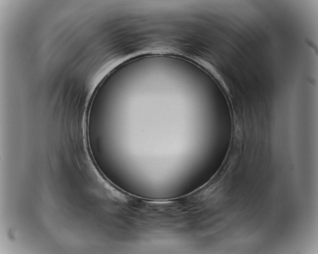 X0000099461343200805231757