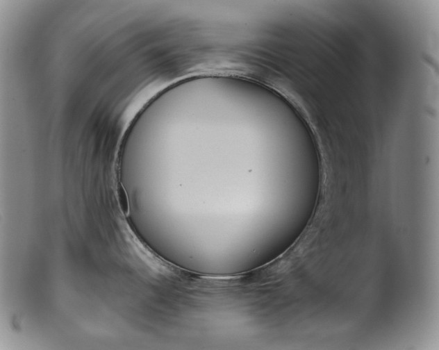 X0000099461344200805231757