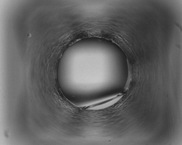 X0000099461345200805231756