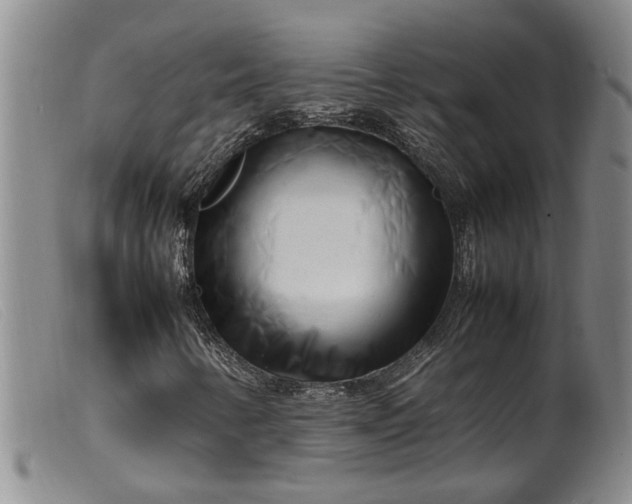 X0000099461346200805231756