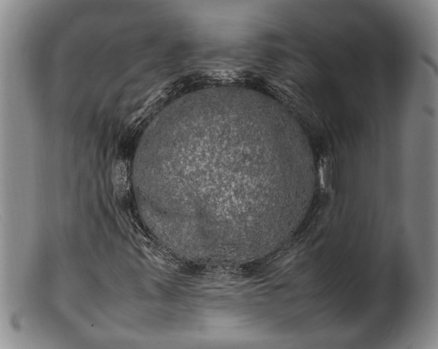 X0000099461347200805231756