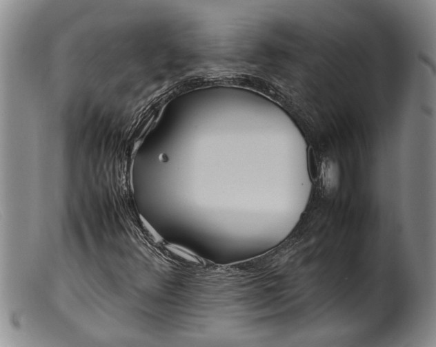 X0000099461348200805231756