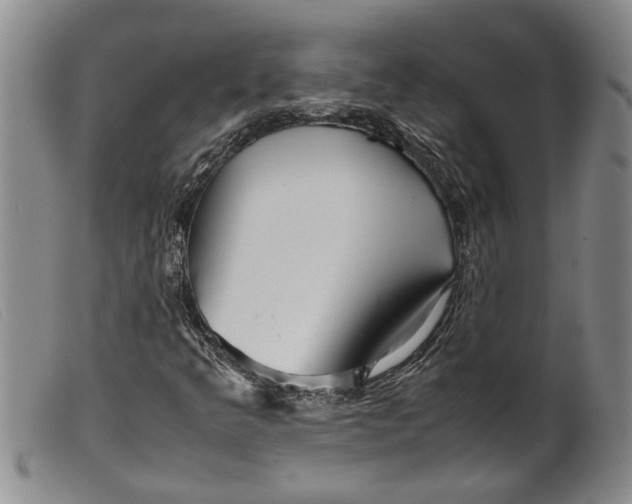 X0000099461349200805231756