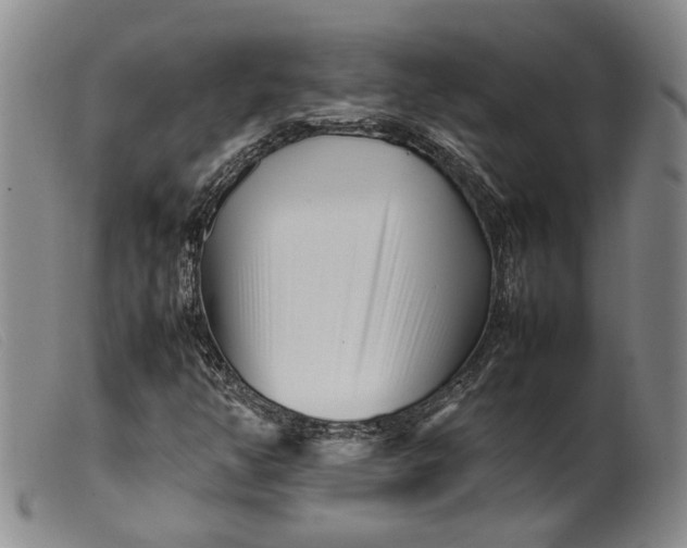 X0000099461350200805231756