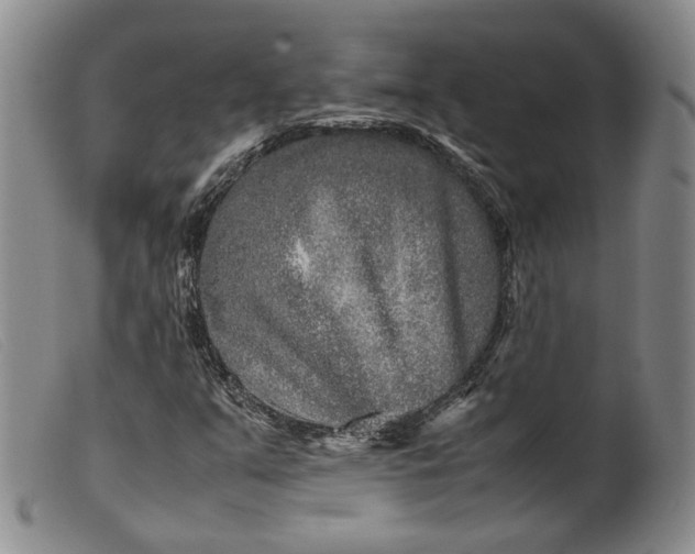 X0000099461351200805231756