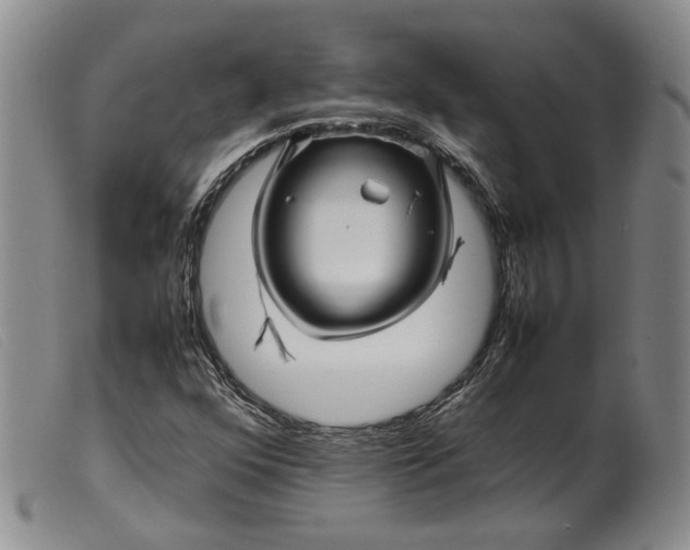 X0000099461352200805231756