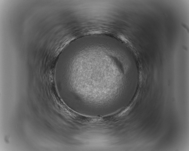 X0000099461353200805231756