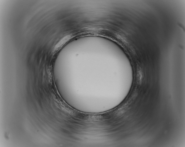 X0000099461354200805231756