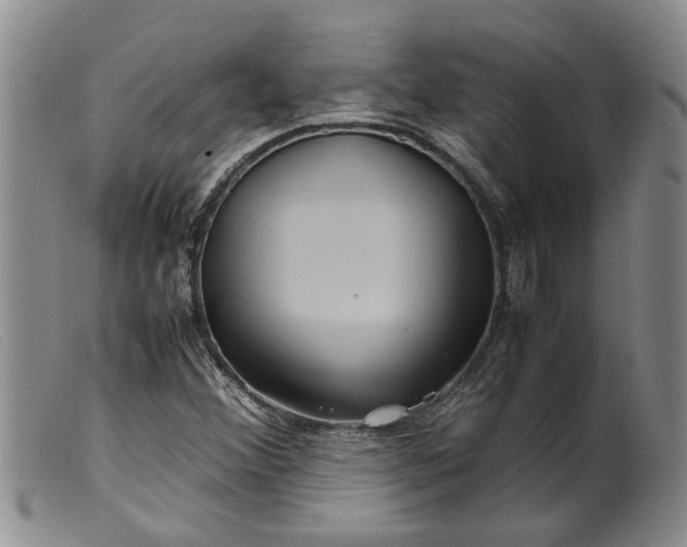 X0000099461356200805231756