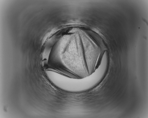 X0000099461357200805231756