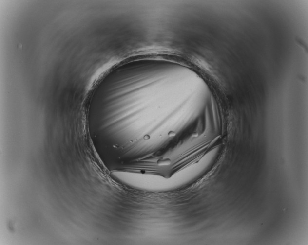 X0000099461358200805231756