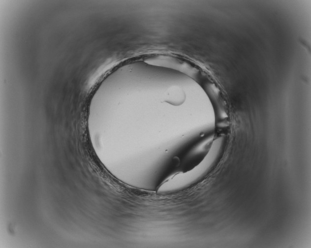 X0000099461359200805231756