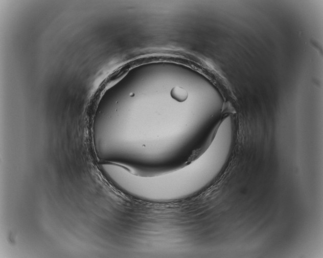 X0000099461360200805231756