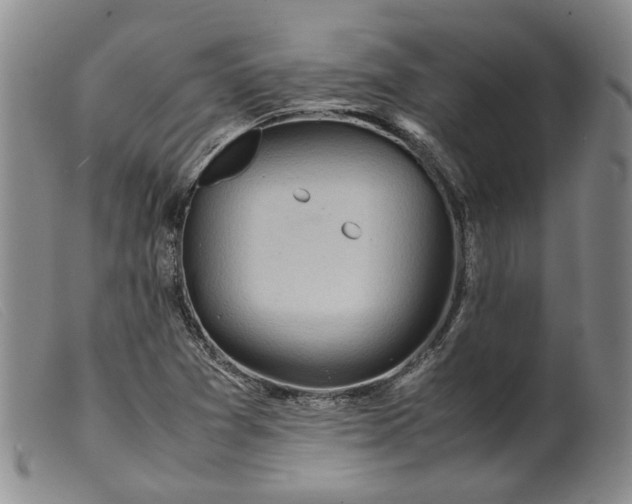 X0000099461361200805231756