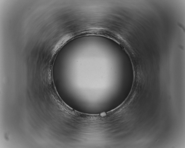 X0000099461362200805231756