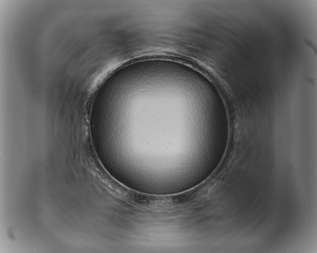 X0000099461363200805231756