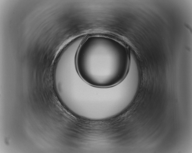 X0000099461364200805231756