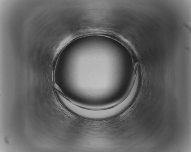 X0000099461365200805231756