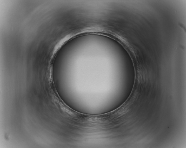 X0000099461366200805231756