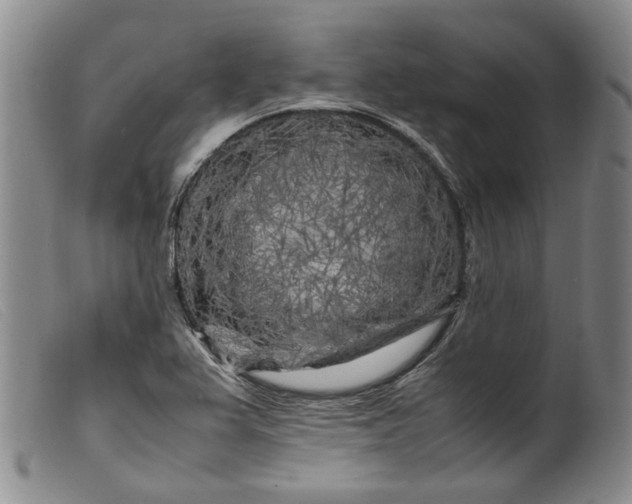 X0000099461367200805231756