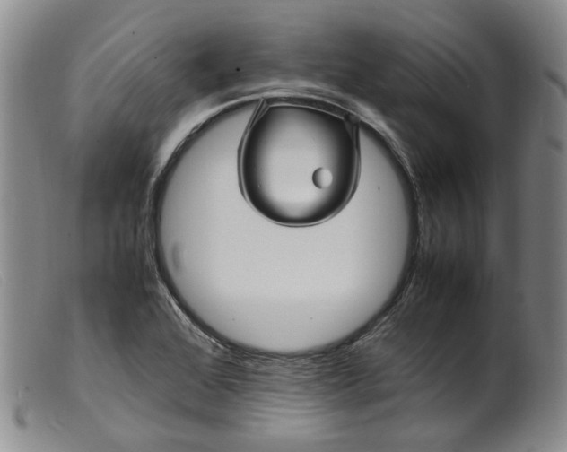 X0000099461368200805231756