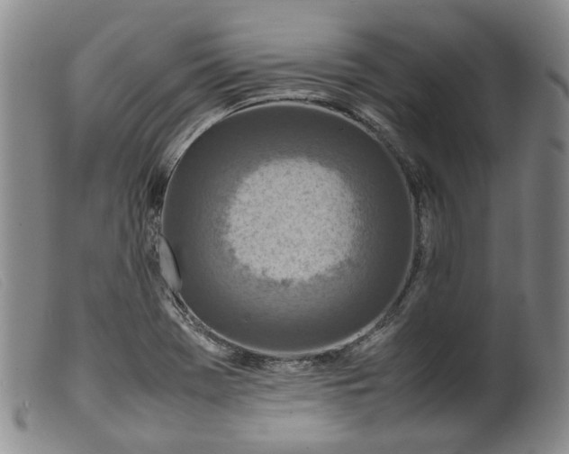 X0000099461369200805231756