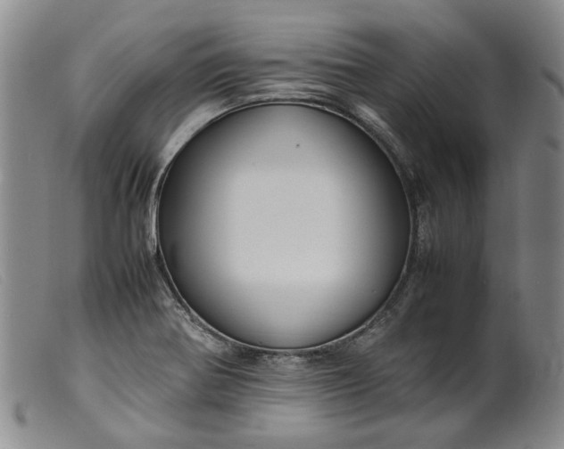 X0000099461370200805231756