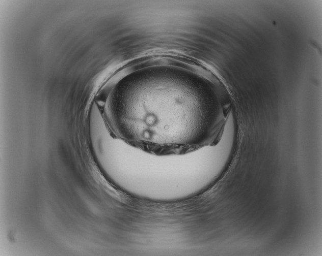 X0000099461371200805231756