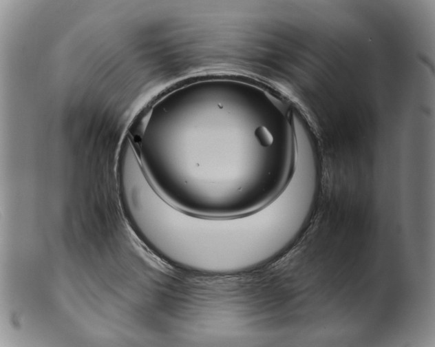 X0000099461372200805231756