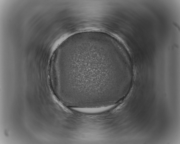 X0000099461373200805231756