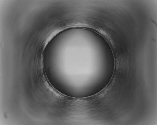 X0000099461374200805231756