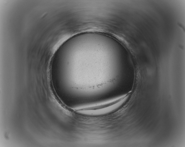 X0000099461375200805231756