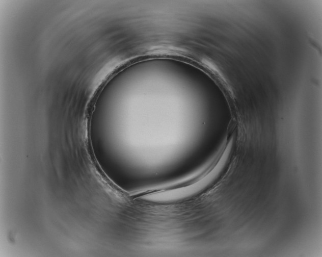 X0000099461376200805231756