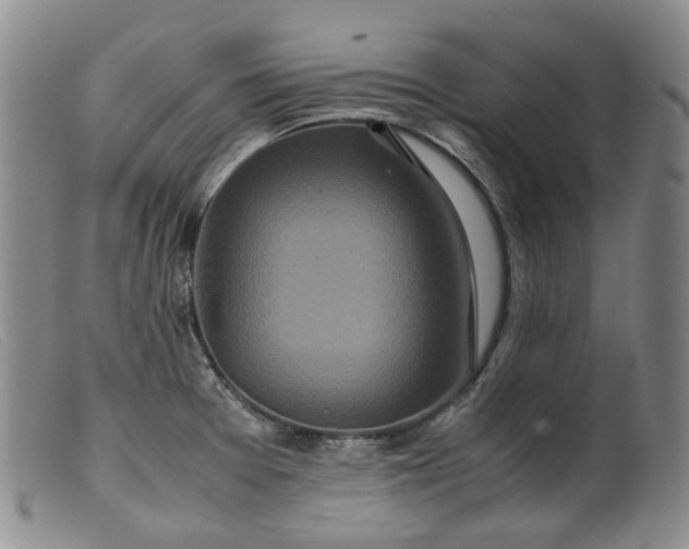 X0000099461377200805231756