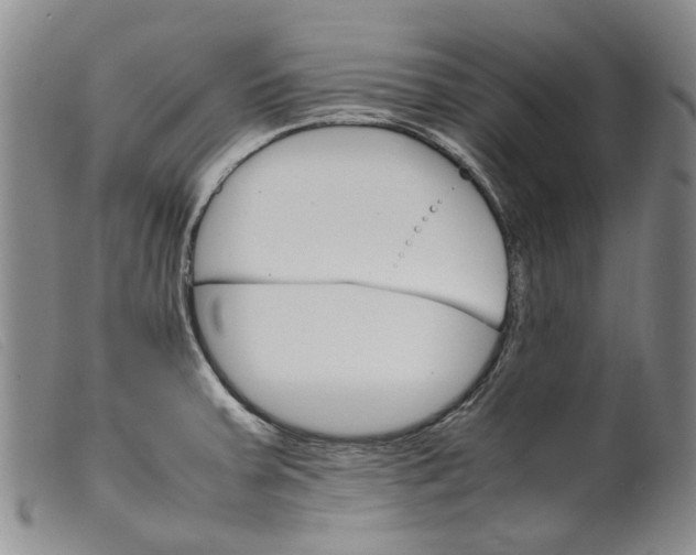 X0000099461379200805231756