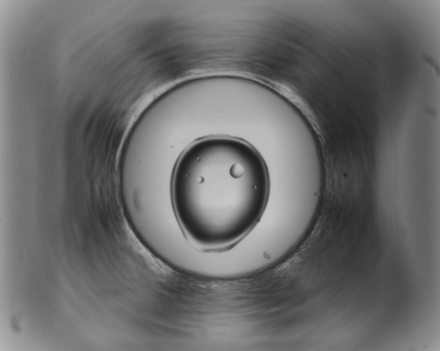 X0000099461380200805231756