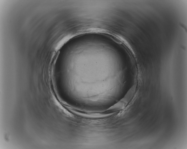 X0000099461381200805231756