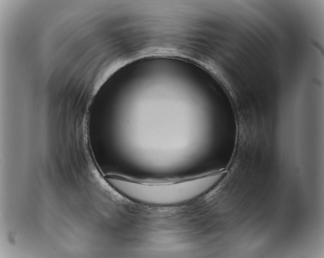 X0000099461382200805231756