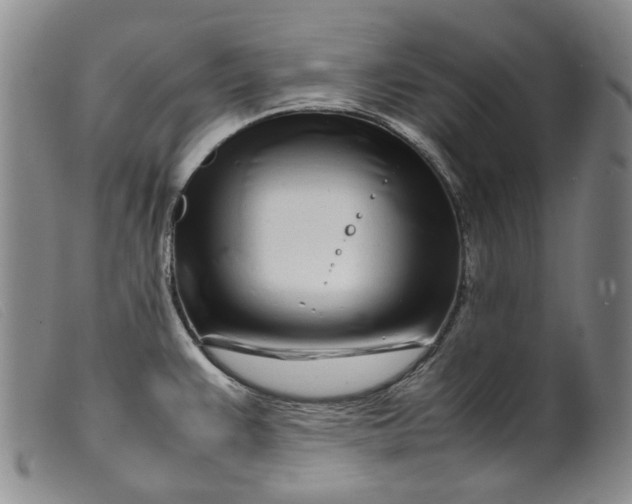 X0000099461383200805231756